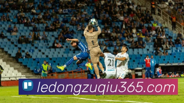 乐动体育平台生态图