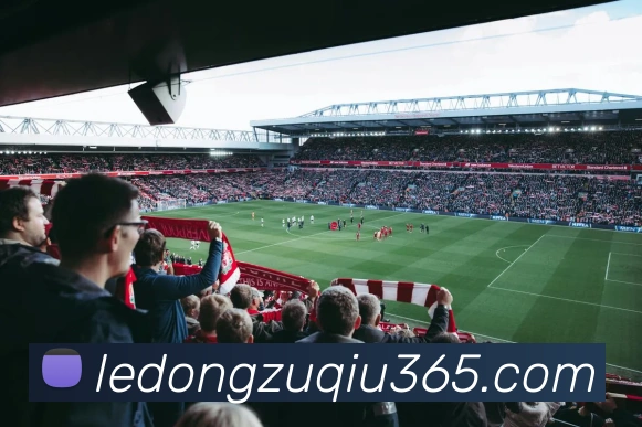 乐动体育APP 封面图